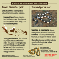 infografik-kabar-nestapa-korban-petir-dan-ular