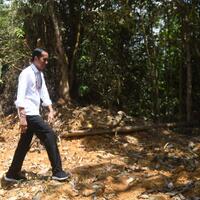 keputusan-jokowi-direspons-negatif-aktivis-lingkungan