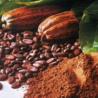 bangga-kakao-dan-kopi-indonesia-jadi-primadona-di-mesir