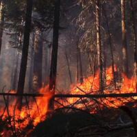 amazon-belum-seberapa-kebakaran-hutan-di-angola-jauh-lebih-parah