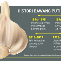 jika-indonesia-bisa-swasembada-bawang-putih-indonesia-hemat-rp20-triliun