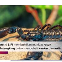 ada-apa-dengan-racun-yang-di-hargai-milyaran-rupiah