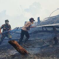 tiga-perusahaan-jadi-tersangka-karhutla-di-kalimantan