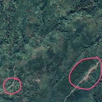 kkn-di-desa-penari-kisah-horor-tentang-pentingnya-menghormati-norma-dan-adat