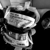 pmi-belitung-malu-orang-datang-mau-beli-darah