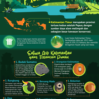 infografik-satwa-langka-di-ibu-kota-baru