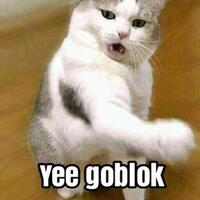 akui-perbuatan-staf-kecamatan-yang-rasis-ke-mahasiswa-papua-minta-maaf