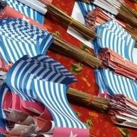 wanita-pembawa-1500-bendera-bintang-kejora-bungkam-saat-ditanya-polisi