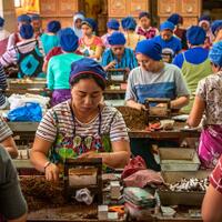 harga-jual-rokok-bisa-naik-tahun-depan