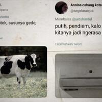bikin-ngakak-ini-7-plesetan-ala-warga-twitter-soal-tipe-wanita-idaman-pria