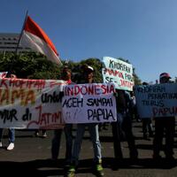 polda-jatim-panggil-veronica-koman-untuk-penyidikan