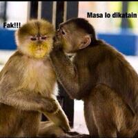 lounge-egp-rubuhan-ala-suka-suka