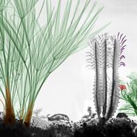 lounge-egp-rubuhan-ala-suka-suka