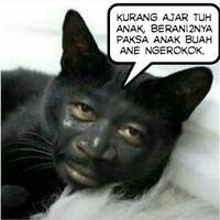 viral-kucing-dipaksa-merokok-membuat-warganet-murka