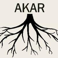 apa-kamu-tahu-fungsi-dari-akar