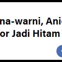 pernah-usul-bubarkan-kpai-netizen-sebut-ahok-visioner