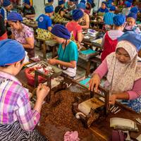 cukai-rokok-naik-23-persen-eceran-35-persen