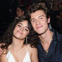 kemesraan-shawn-mendes-dan-camila-cabello-selain-video-quotciuman-ikanquot