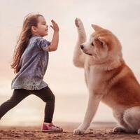 anjing-yang-setia-menunggu-pemiliknya-hingga-akhirnya-bersatu-4-tahun-kemudian