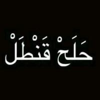 lsm-asing-surati-jokowi-setop-kasus-veronica-koman