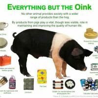 diskusi-seputar-intelijen---part-1