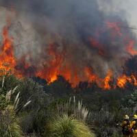 daripada-mindahin-ibu-kota-kenapa-gak-memborong-pesawat-pemadam-kebakaran-saja