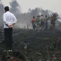 luas-kebakaran-hutan-sangat-besar-jokowi-ini-terorganisasi