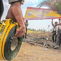 4-perusahaan-dan-185-orang-jadi-tersangka-karhutla