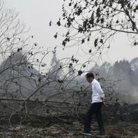 jokowi-karhutla-itu-terorganisasi