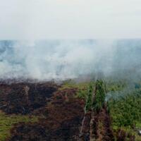 kalteng-kerahkan-7-helikopter-untuk-atasi-karhutla