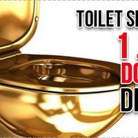 astaga-toilet-emas-senilai-1-juta-dollar-berhasil-di-curi-dari-istana-inggris