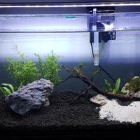 aquascape-for-everyone-learning-and-sharing---part-3