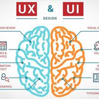 perbedaan-user-experience-ux-dan-user-interface-ui