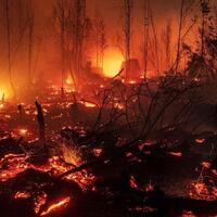 pengusaha-uu-yang-bolehkan-bakar-hutan-harus-direvisi