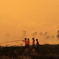aerosol-tinggi-penyebab-warna-merah-langit-jambi