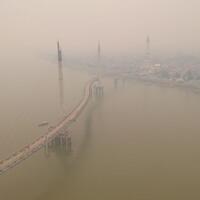 kualitas-udara-berbahaya-asn-hamil-diliburkan-pemkot-jambi