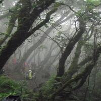 ketemu-sosok-misterius-saat-naik-gunung-siapakah-dia