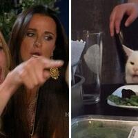 dibalik-lucunya-meme-quotwoman-yelling-at-a-catquot