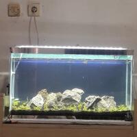 aquascape-for-everyone-learning-and-sharing---part-3