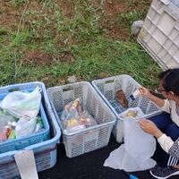 kesadaran-orang-jepang-membuang-sampah-pada-tempatnya-sangat-tinggi