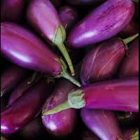 tak-banyak-yang-tahu-terong-murah-tapi-banyak-gizi-penasaran