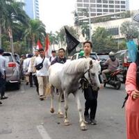 aksi-mujahid-212-seorang-pemuda-bawa-kuda-putih-di-bundaran-hi