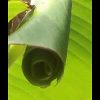 pakar-toksikologi-kertas-cokelat-pembungkus-makanan-mengandung-racun