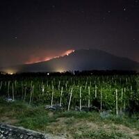 13-pendaki-terjebak-di-gunung-raung-yang-terbakar-di-antaranya-wn-singapura