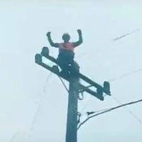 viral-video-petugas-pln-menari-di-atas-tiang-listrik-entah-apa-yang-merasukimu-pak