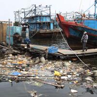 3-ton-kulit-kerang-hijau-ditebar-untuk-jernihkan-teluk-jakarta