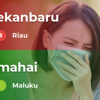 kualitas-udara-pekanbaru-terburuk-di-indonesia-minggu-06-10-2019