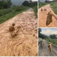 santuy-abis-hingga-bikin-emak-sesak-napas-inilah-7-tingkah-polos-anak-anak