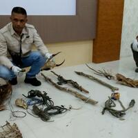 dpr-aceh-siapkan-hukuman-cambuk-untuk-pemburu-satwa