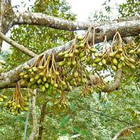 protes-uang-saku-masih-ingat-nggak-gan-berapa-uang-sakumu